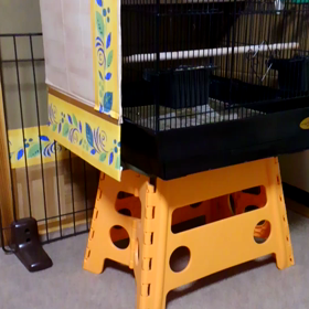 音痴なはとポッポの画像