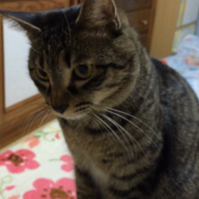 初めて…の画像