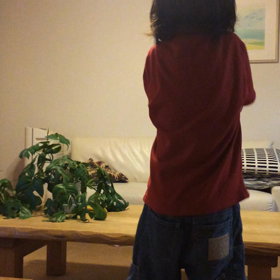 夕飯後の我が家の様子をお届け(動画）の画像