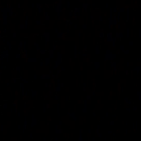 頭と手とカラダに記憶させる！の画像