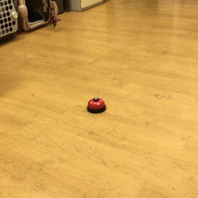 おうちではやってるかも。の画像