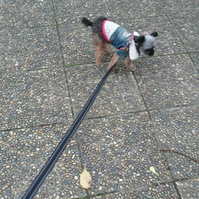 急いで病院への画像