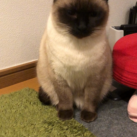 遅ればせながら、明けましておめでとうございます☆の画像