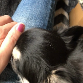 かいかいの画像