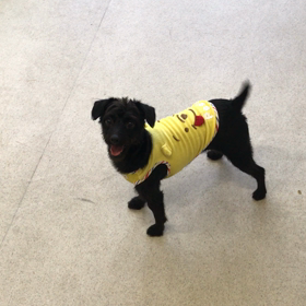 ♪プレイルーム動画♪①の画像