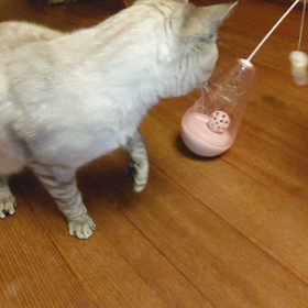 さつき。の画像