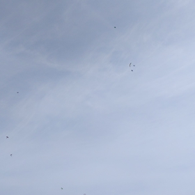 春の夕方の画像