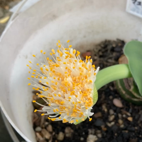 介護記録３８４（骨折）の画像