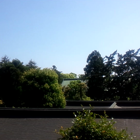 【動画】ウグイスの声を聴くと、運気上がる気がするの画像