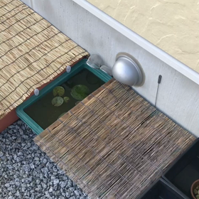 休日だったんだけど(´∀｀)の画像