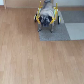 車椅子が届いたよの画像