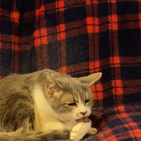 みんな大好きの画像