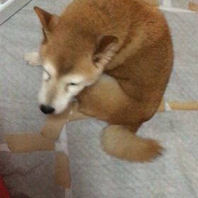 許せない人。の画像