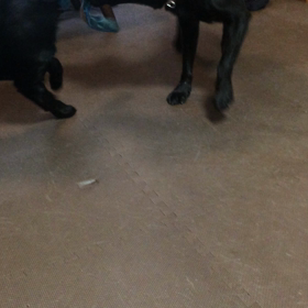 今日は、、、   ナツアキ８日目の画像