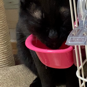 今日は　　じじの画像