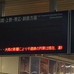 おおあめーの画像