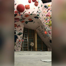 ボル日43の画像