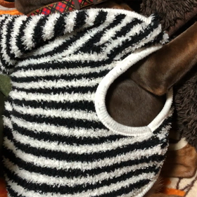 守るべきもの…の画像