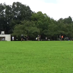 9月3日 全員リレー②の画像