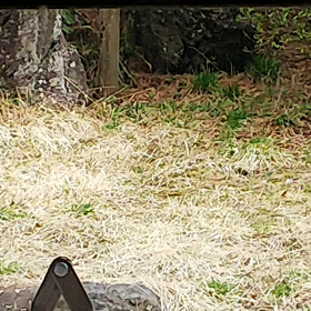 まったりの画像