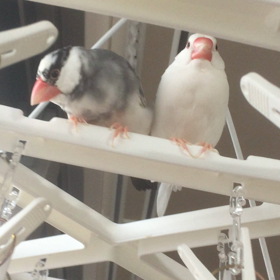 動画 テストの画像