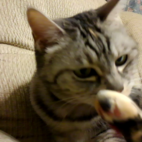 本日の私の画像