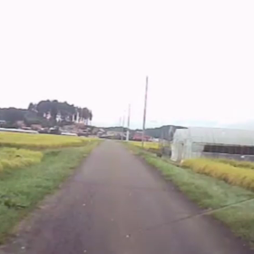 サギに注意の季節ですの画像