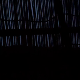 クマゼミ目覚まし　7月26日（月曜日）おはようの画像