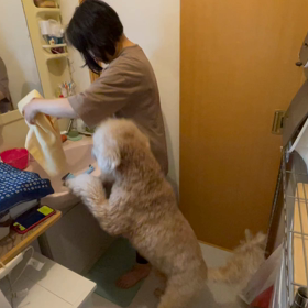 今、助けるからねーの画像