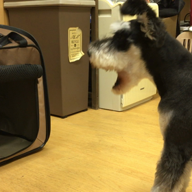 次回、頑張ろう‼️の画像