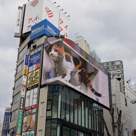 錯覚を利用して？の画像