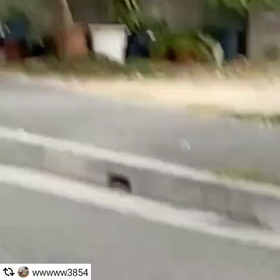 犬を犠牲にせず 開発できるの画像