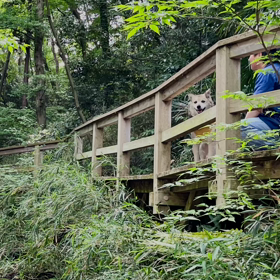 プチ更新の画像