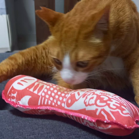 動物病院検査結果の画像