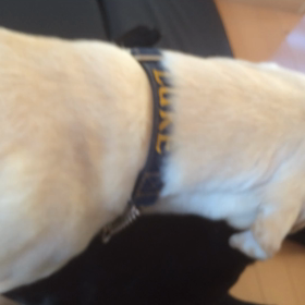 和み舎にての画像