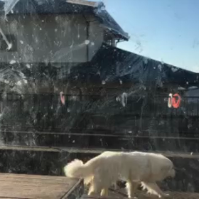 芸術の秋です( ^ω^ )の画像