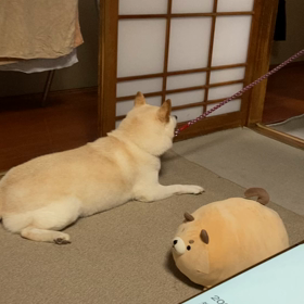 カタツムリさんの画像