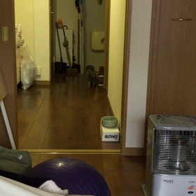 朝 その3の画像