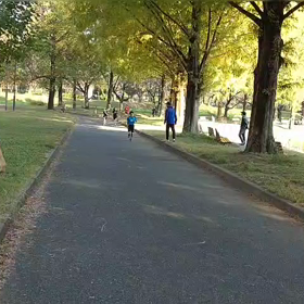 1500mタイムトライアル　ゴール②の画像