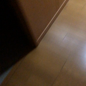 ワクチン1回目のあくる日。暑いの？デール？の画像