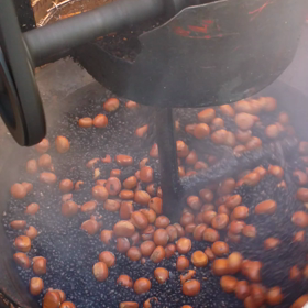 初詣のオマケ動画の画像