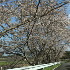 機械物は突然に！の画像