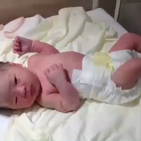 お姫様もやって来た〜〜の画像