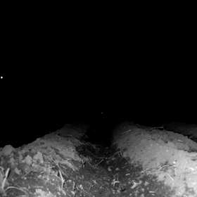 すぎぴたんの事件簿　シーズン２　１９１話（くるぅ、きっと、くるぅ～、来たら何するぅ②～）の画像