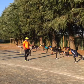 バランス①の画像