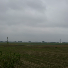 これがあったから、と、堀口コーヒーの画像