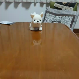 あかちゃんチワワの画像