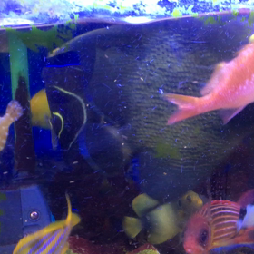 御飯ですよ〜の画像