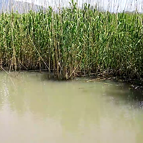 入れることよりも、出すことに(movie)の画像