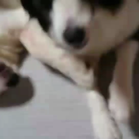 いつの間にか…の画像